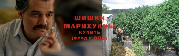 spice Богданович