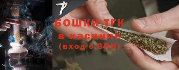spice Богданович