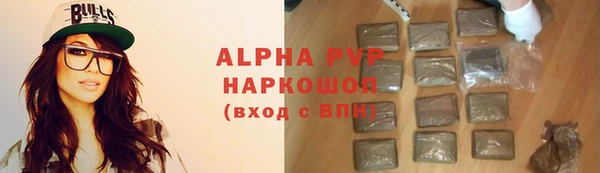 spice Богданович