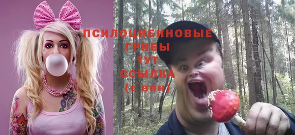 соль курить ск Богородицк